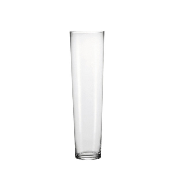 Leonardo Clear 70Cm Glass Floor Vase & Reviews Wayfair.co.uk